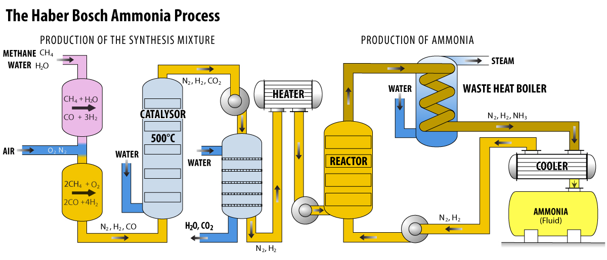 ammonia fertilizer process