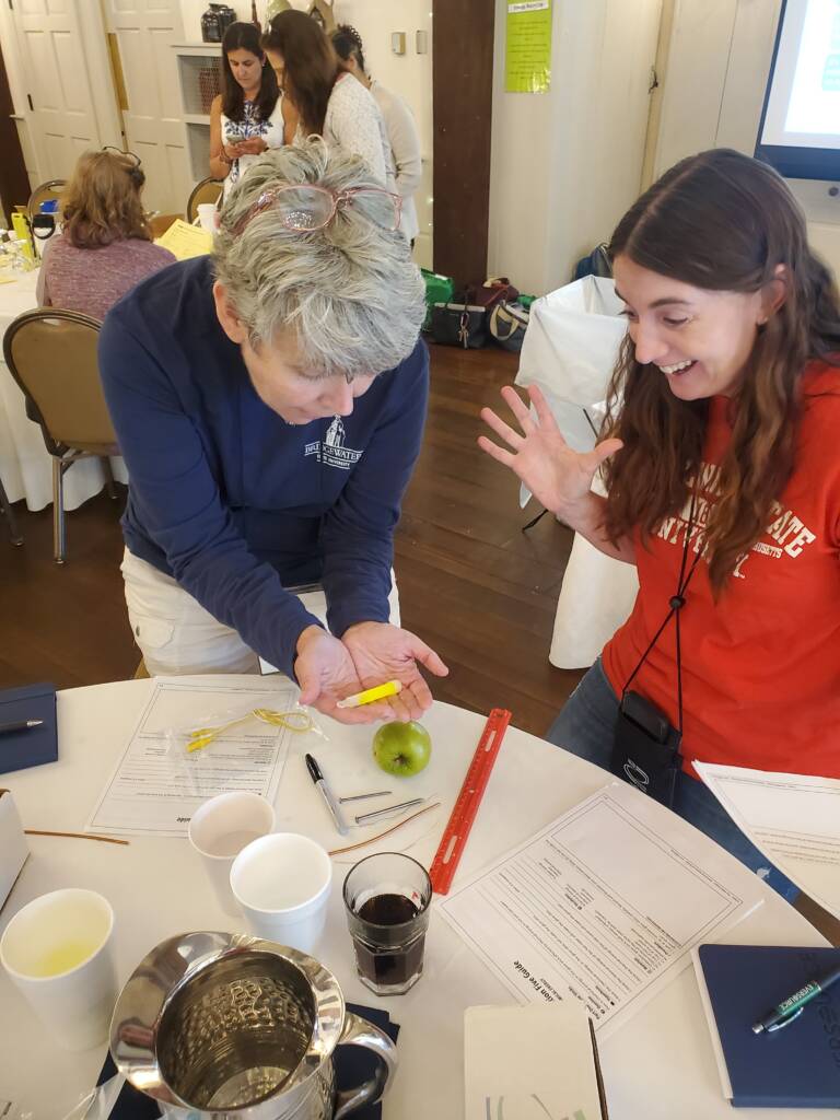 Two teachers working on a project together