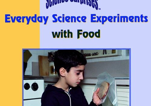 Science fair projects book