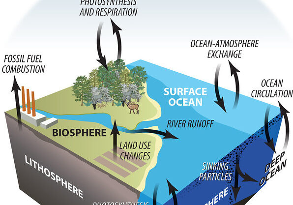 Earth Science diagram